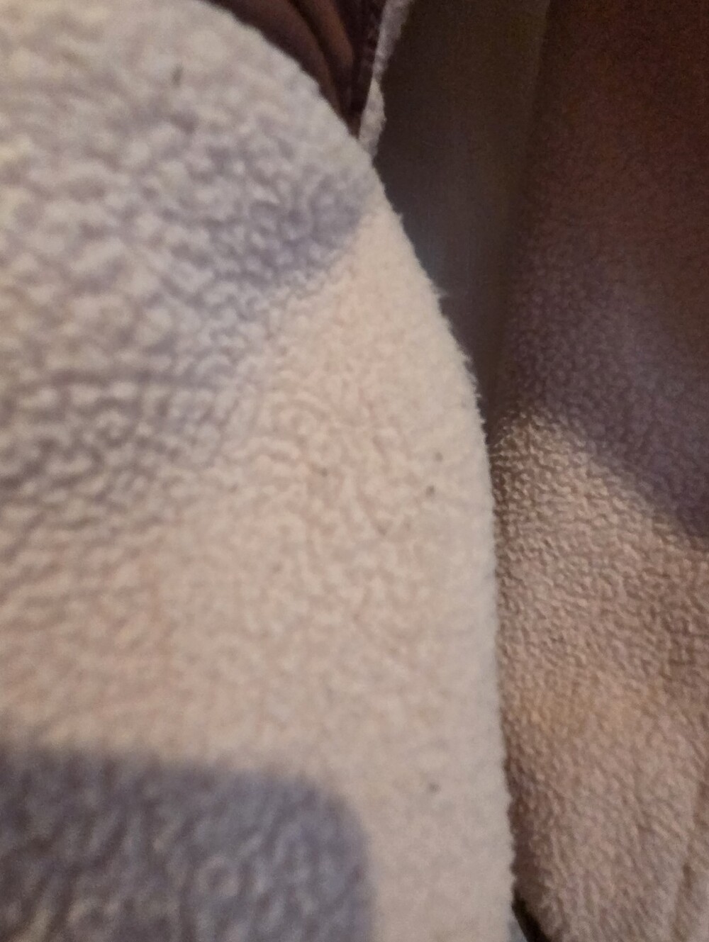 The North Face Jacket Large Royal Arch Parka Sherpa Fleece Quilted Hood Hiking - Picture 6 of 15